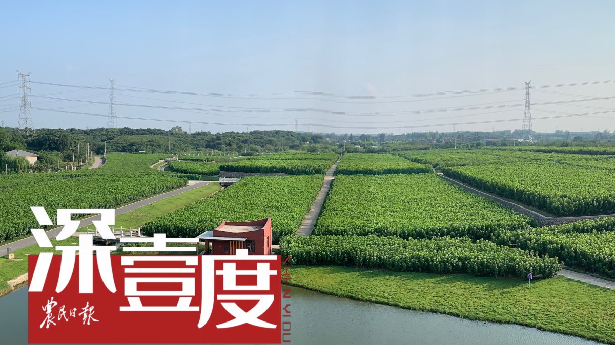 农业产业如何助推共建“一带一路”？
