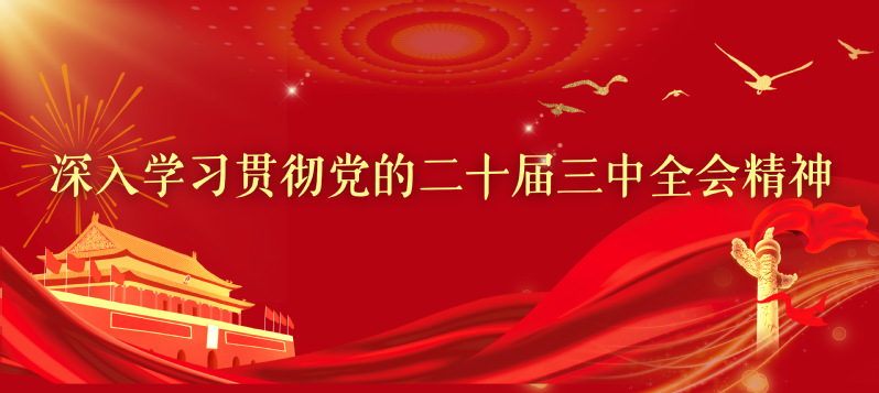 深入学习贯彻党的二十届三中全会...